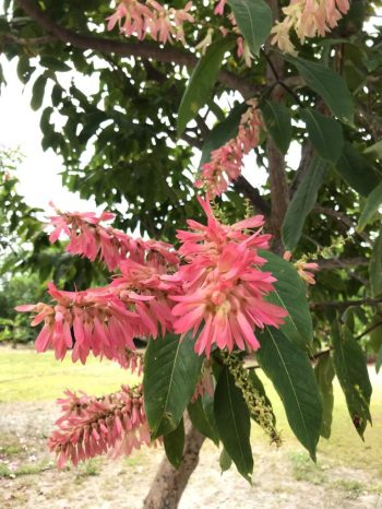 WhatsApp Image 2023-07-10 at 09.22.01