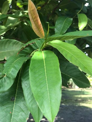 WhatsApp Image 2023-07-10 at 09.30.43